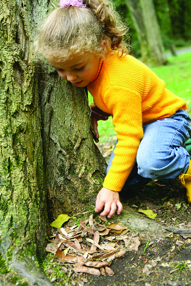 Objectif Nature