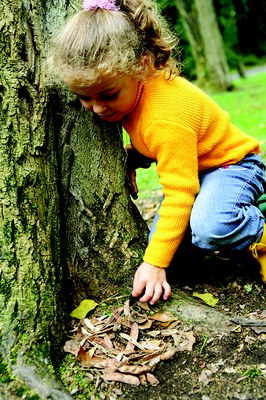 Objectif Nature