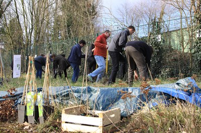 Pasteur plantations