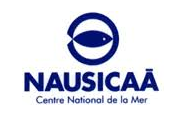 nausicaa